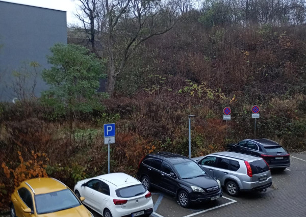 2 izbový, Novostavba, Prenájom, Košice I, Floriánska, terasa