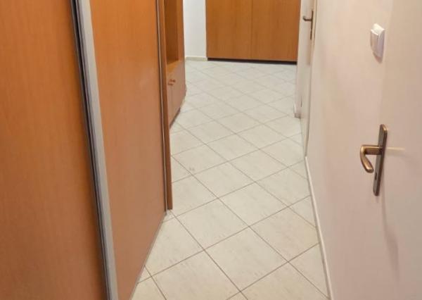 PRENÁJOM 1-izb. byt, 39 m2, balkón (8.p/11), Košice Němcovej