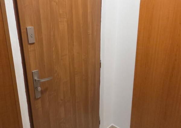 PRENÁJOM 1-izb. byt, 39 m2, balkón (8.p/11), Košice Němcovej